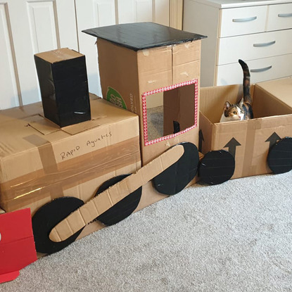 tortoiseshell-and-white cat sat inside cardboard train