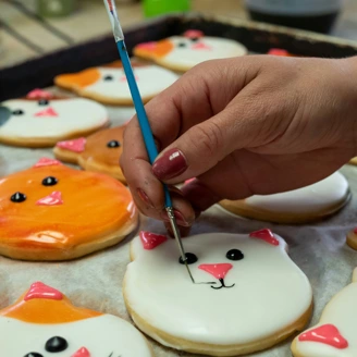 Decorating a cat cookie