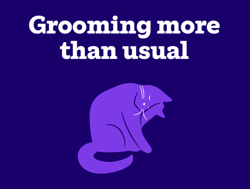 An illustration of a cat overgrooming