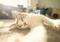 grey-and-white tabby cat lying on the floor with front arm outstretched