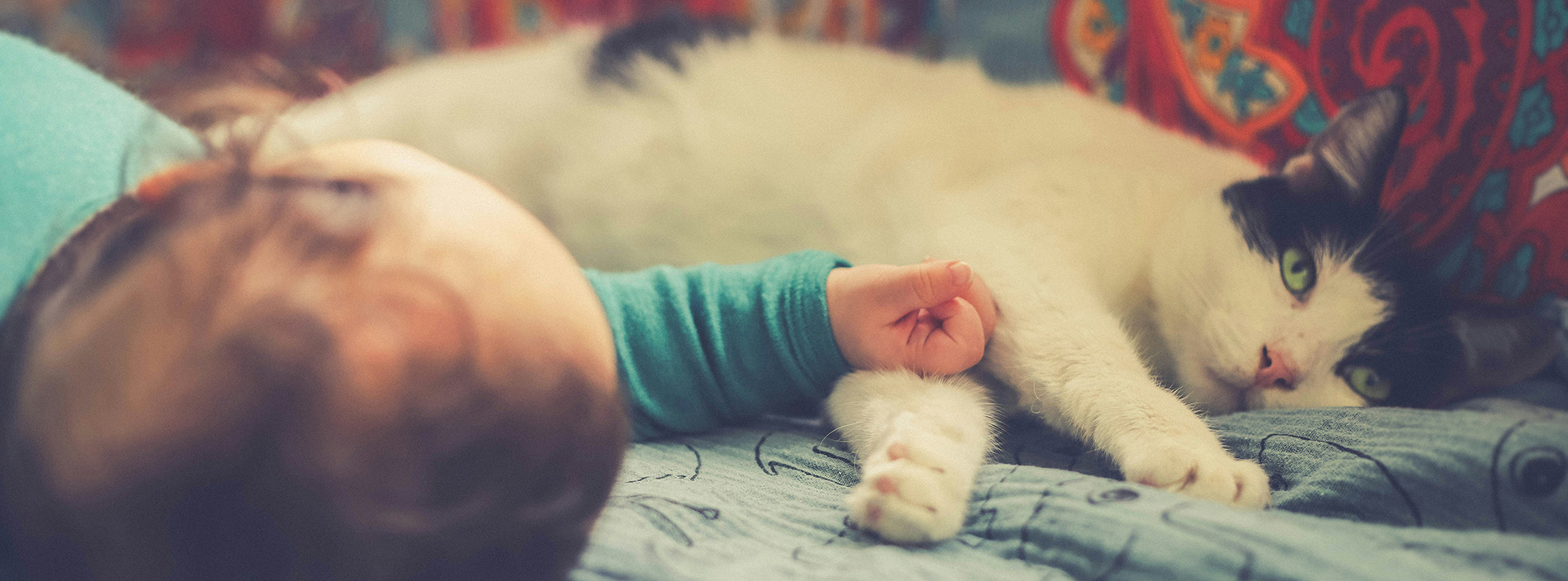 Cats and babies