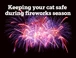 Fireworks Advice Web Banner Cats Protection