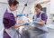 A white cat on a table in a vet surgery being examined by two female vets 