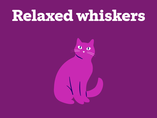 An illustration of a cat with relaxed whiskers