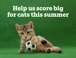 Homepage Banner For Summer Campaign