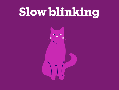 An illustration of a cat with slow blinking