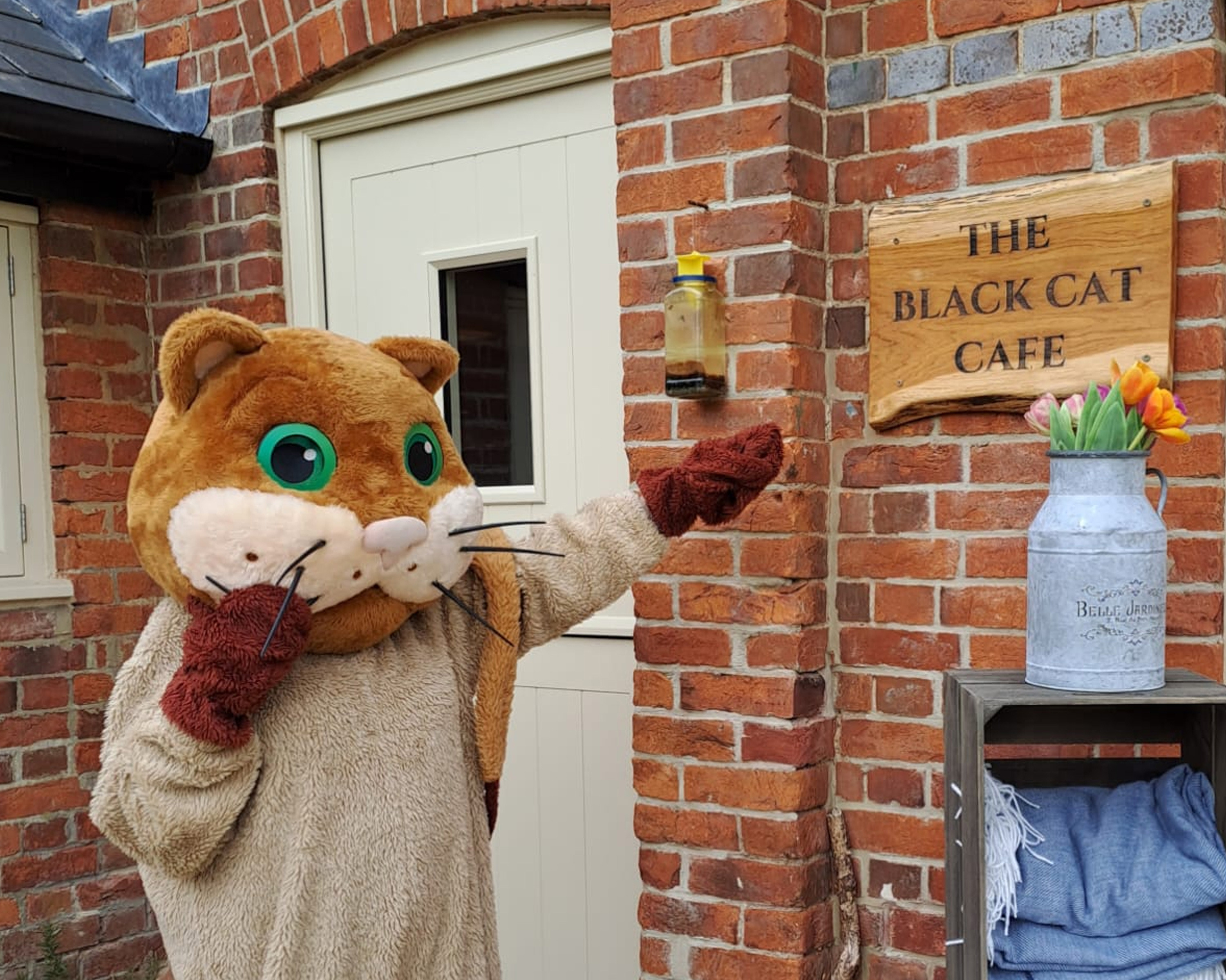 Cat-lover visits 65 venues in giant cat costume