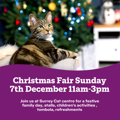 Christmas Fair 2025