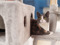 grey-and-white cat with yellow eyes sitting on a grey cat tower