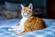 A ginger and white cat lying on a bed