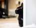Side view of a black cat behind a wall
