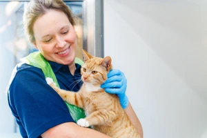 A veterinary nurse holding a ginger tabby.