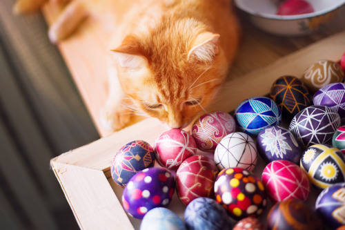 A ginger cat leans over a wooden box filled with brightly coloured, intricately decorated eggs, sniffing one near the edge.