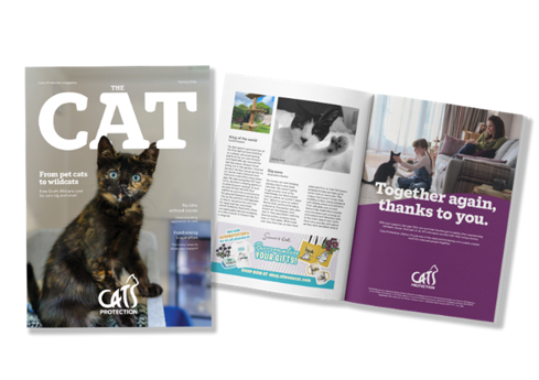 Cats Protection Events Become a member | Support us by joining Cats Protection