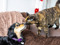 Tortoiseshell cat and black-and-brown dog touching noses.