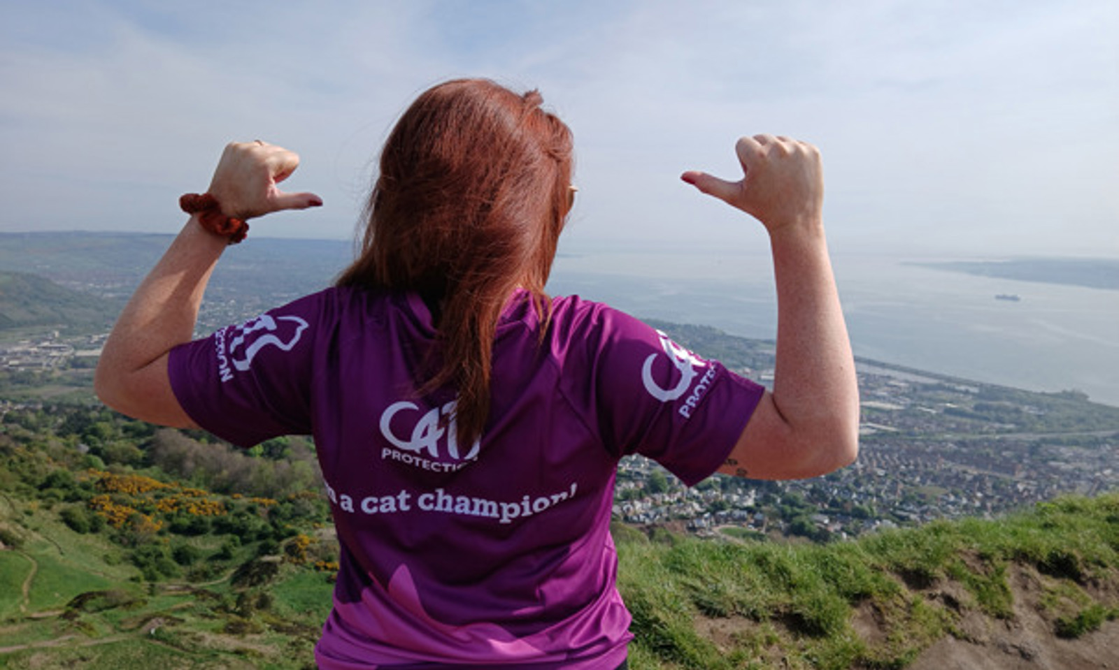 Cavehill Climb for Cats
