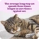 A brown tabby cat. Text says 'The average long stay cat spends three times longer in care than a typical cat.'