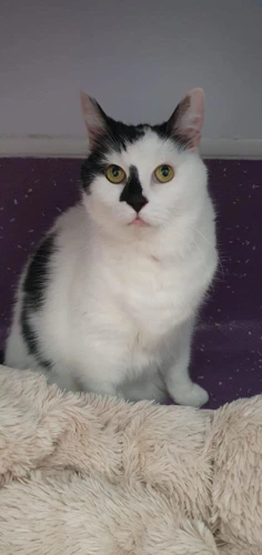 Snuddle