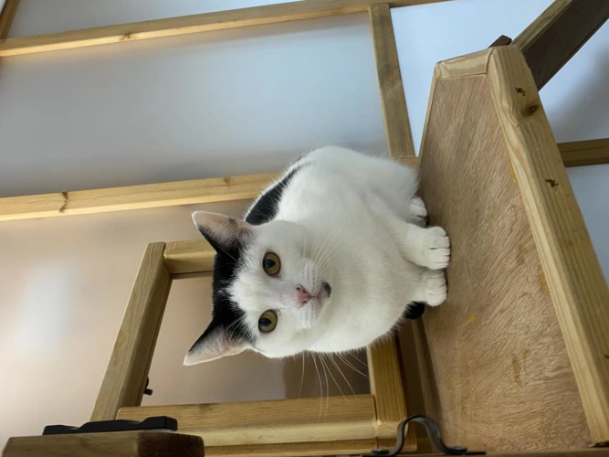 Tutti