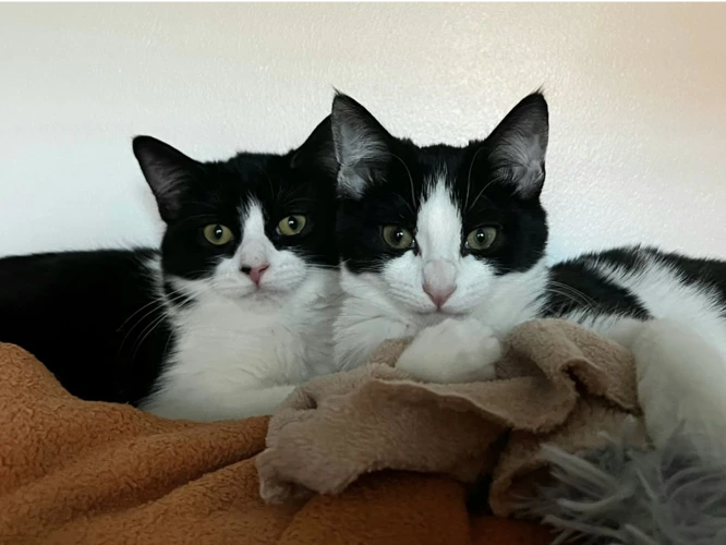 Marie and Minnie