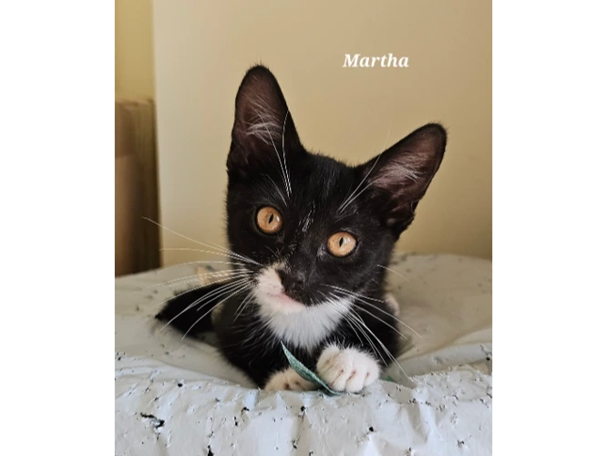 Martha