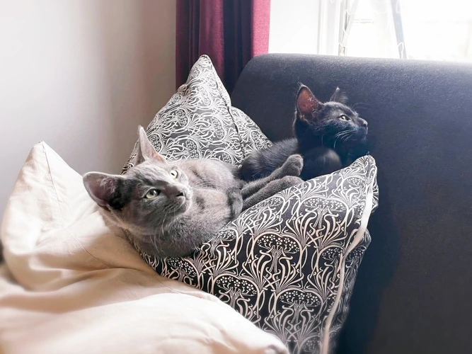 Apollo, Hermes, Thor, & Freya