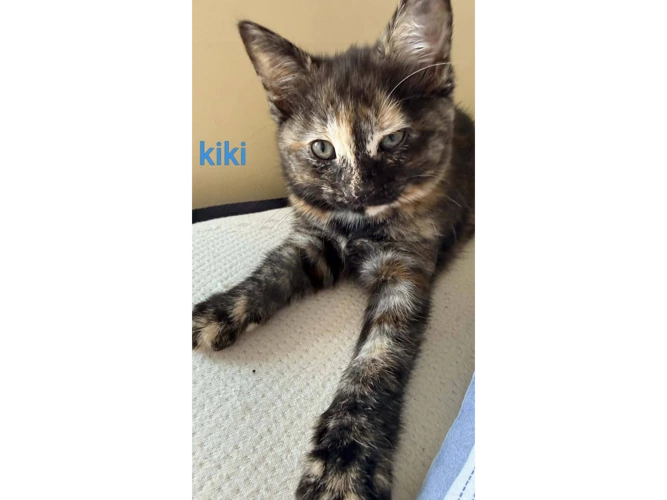 KIKI
