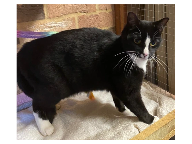 Beautiful Bonnie!