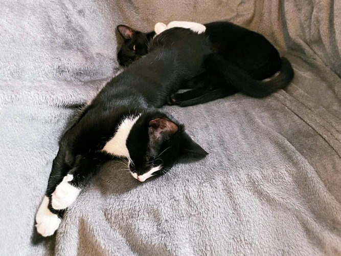 Max & Marlon