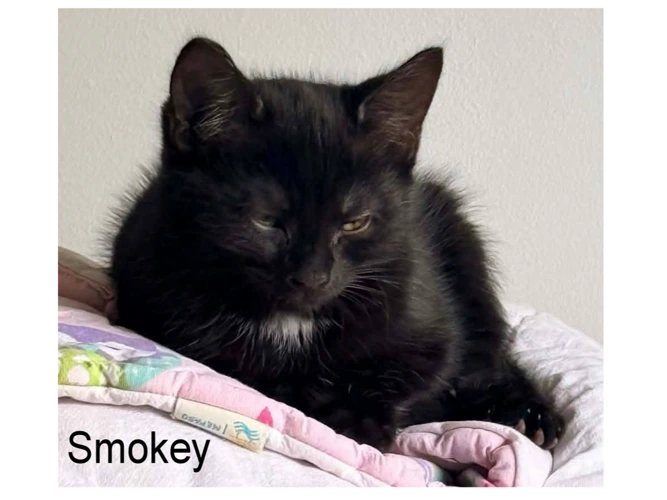 SMOKEY