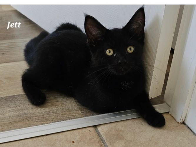 Jett