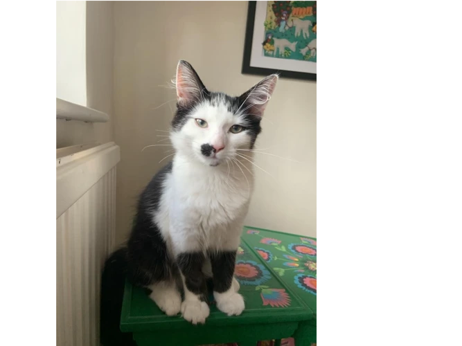 Smudge