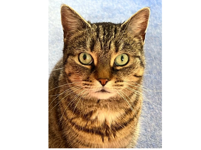 Nelly