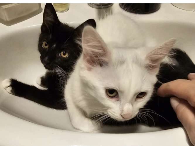 Xena & Tiny