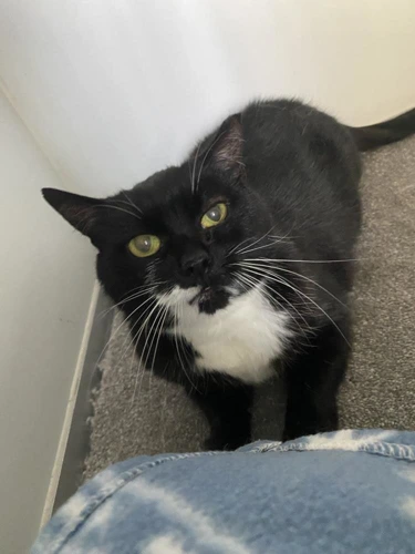Kiki