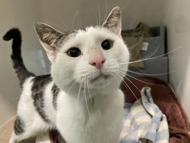 Tom