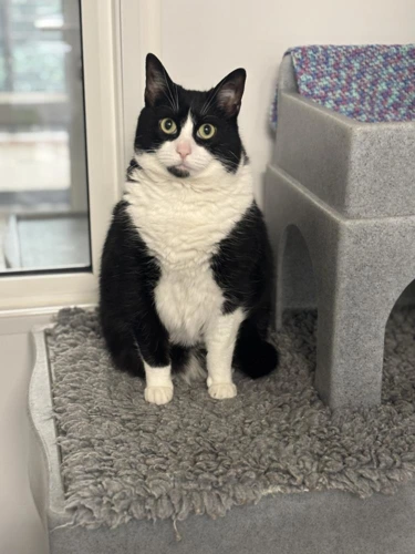 Maggie