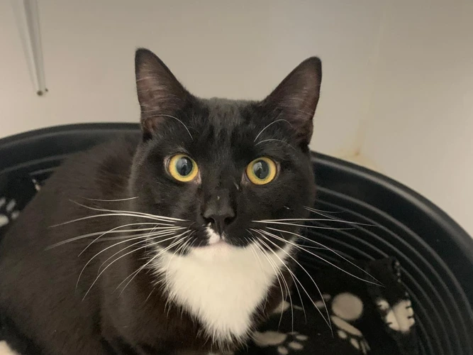 Salem