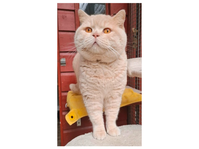 Philip