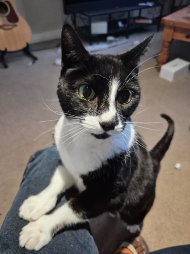 Angel 13 Year Old Female