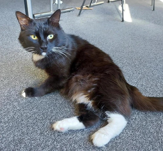 Kevin 3yrs old