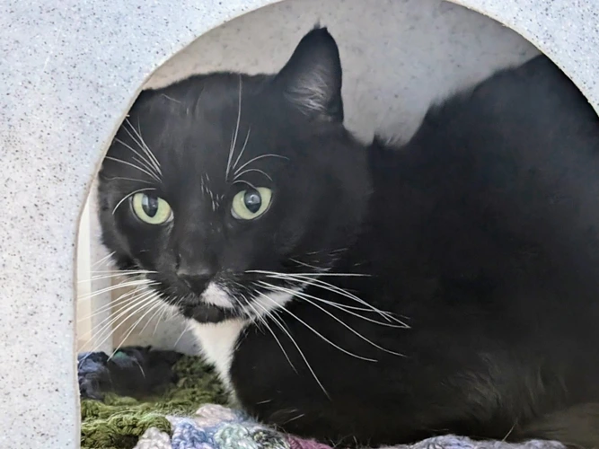 Percy is looking for Outdoor Home