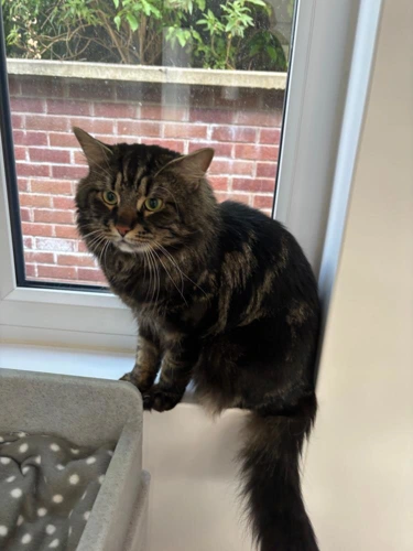 Duncan