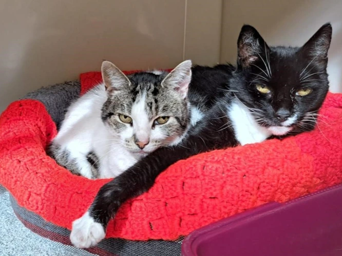 Thomas and Marley