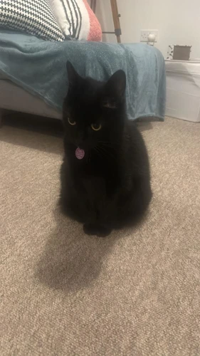 Coco