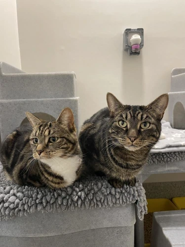 Coco MOTHER AND SON