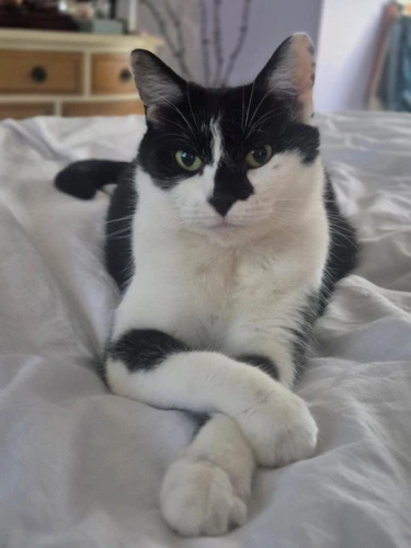 Rosie