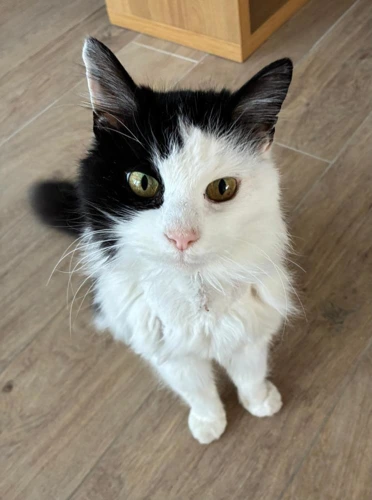 Smudge