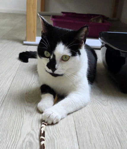 Sprinkles and Bubbles