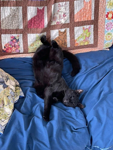 Sooty